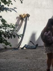 Foto 1 de 1