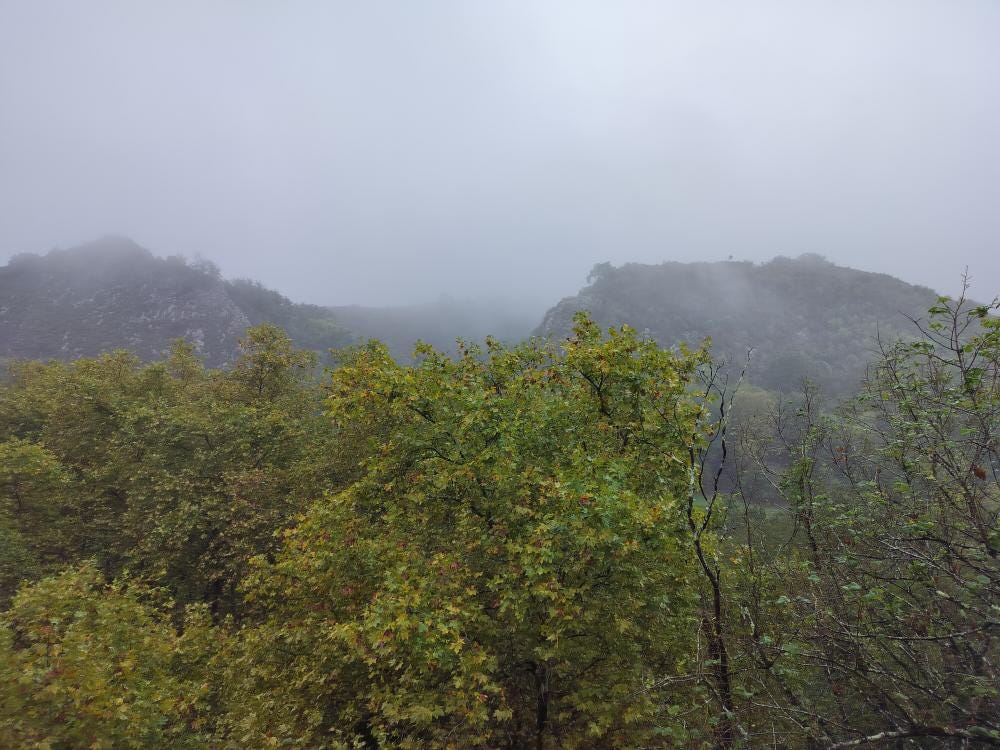 Foto 1 di 3