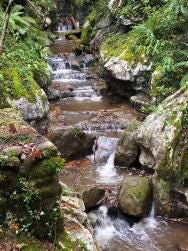 Foto 2 de 3