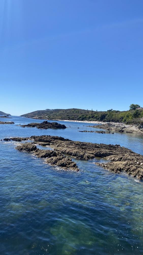 Foto 5 de 8