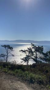 Foto 2 de 8