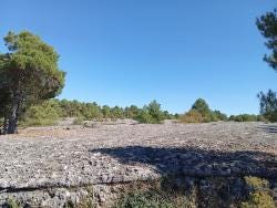Foto 6 de 7