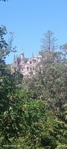 Foto 1 de 3