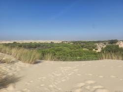 Foto 1 de 4