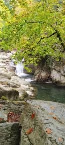 Foto 1 de 1