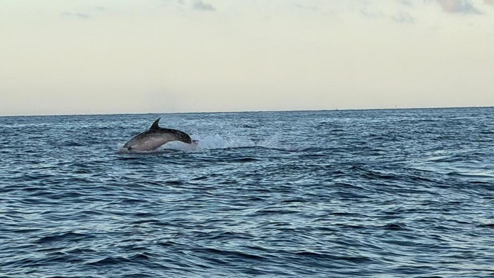 Foto 2 de 3