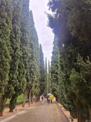 Foto 1 de 1