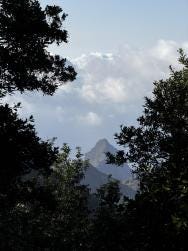 Foto 1 de 2