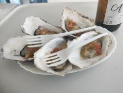 Foto 3 de 3