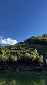 Foto 3 de 7