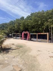 Foto 1 de 1