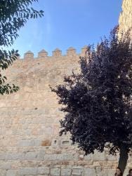 Foto {1} di {2}