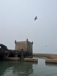 Foto {1} di {2}
