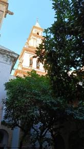 Foto 1 de 1