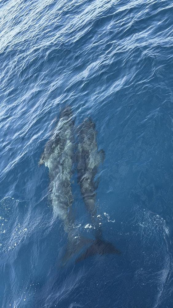 Foto 4 de 4