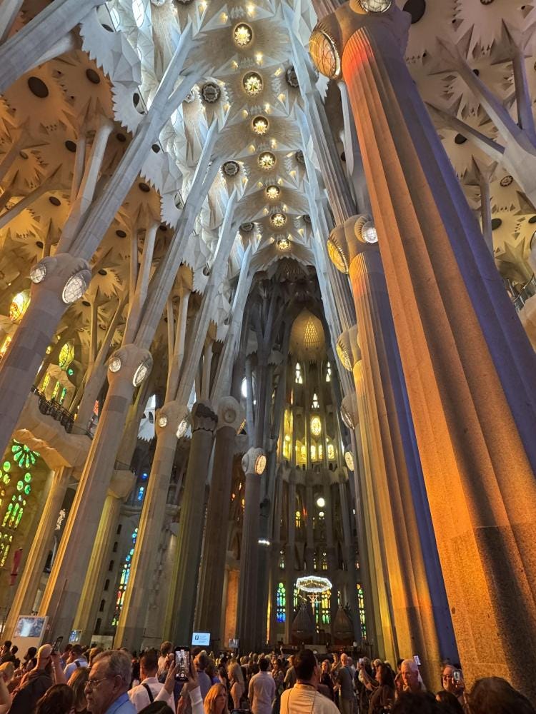 Foto 1 de 1