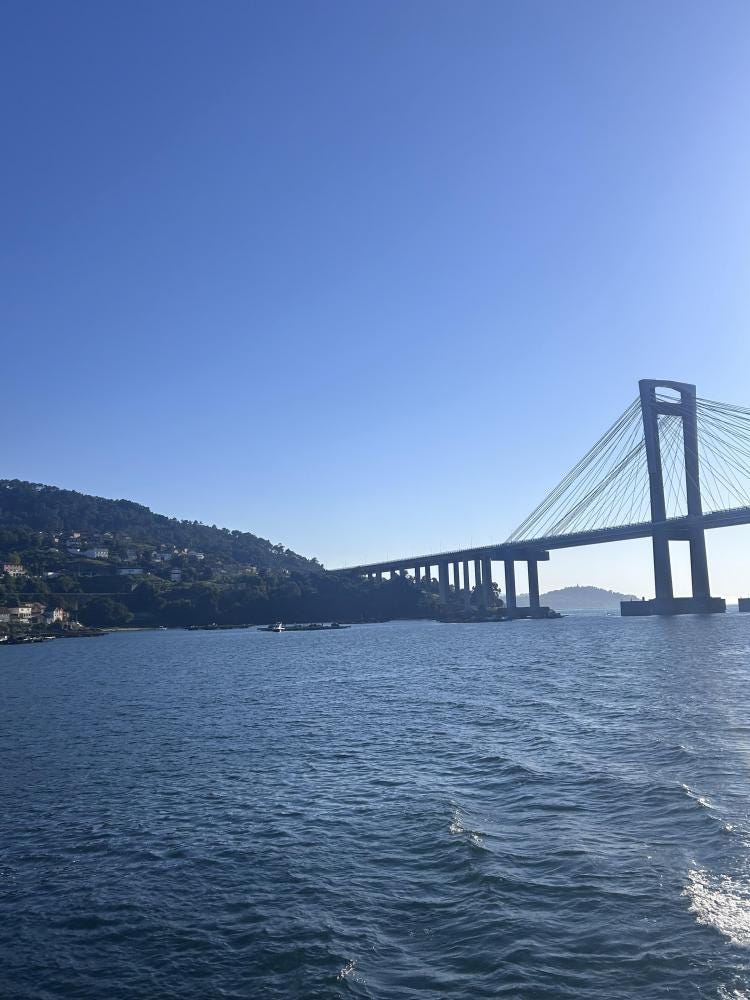 Foto 6 de 6