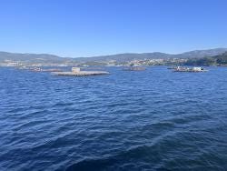 Foto 5 de 6