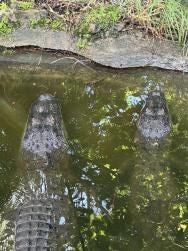 Foto 3 de 5