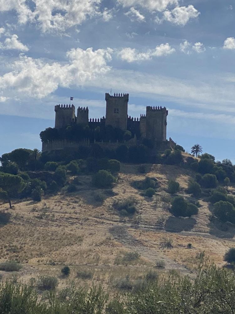 Foto 1 de 1