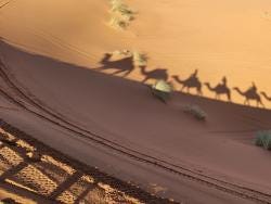 Foto 1 de 9