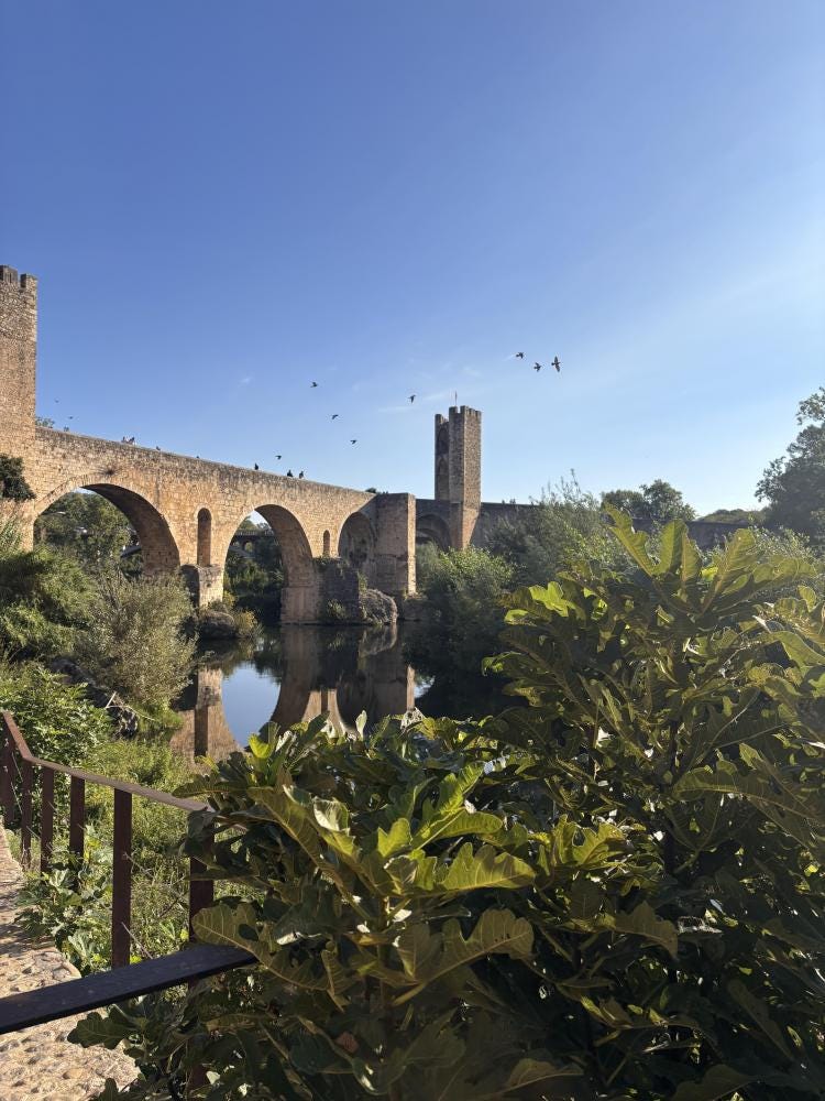 Foto 1 di 3