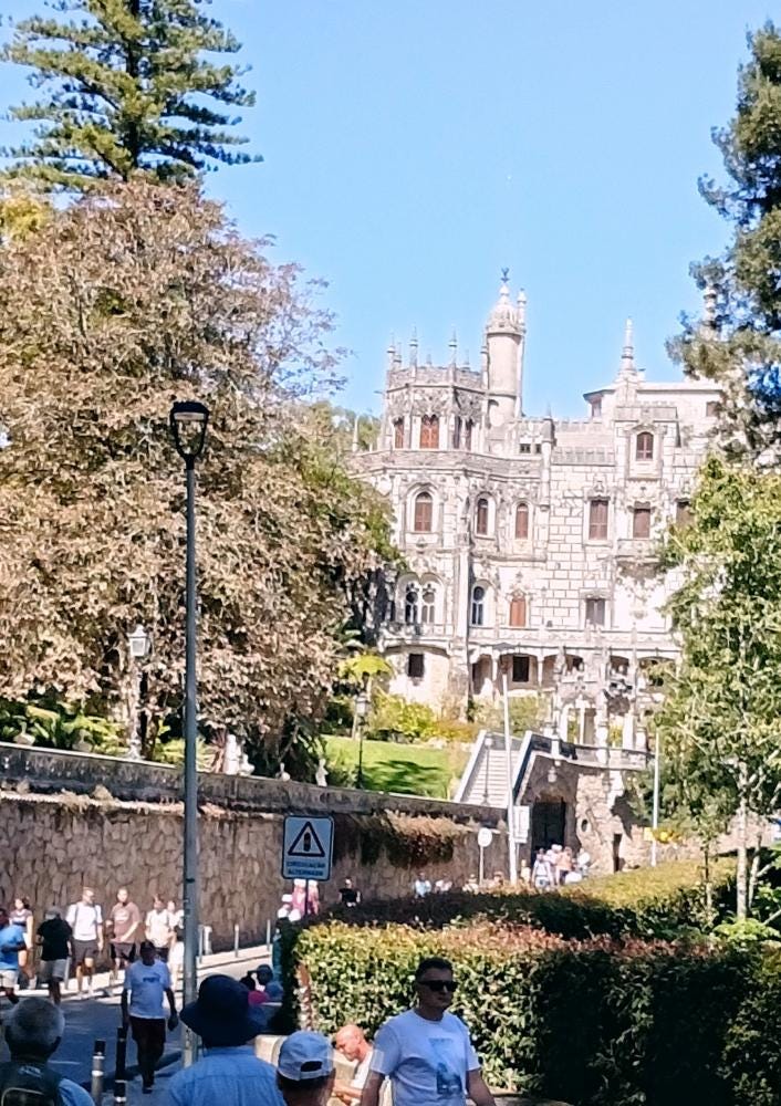 Foto 3 de 3