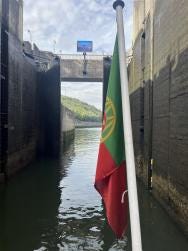 Foto 1 de 12