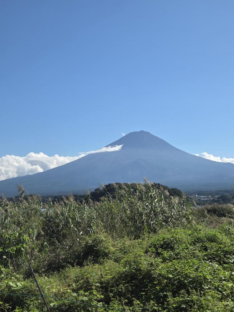 Foto 5 de 5