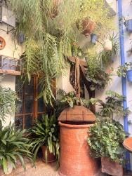Foto 3 de 3