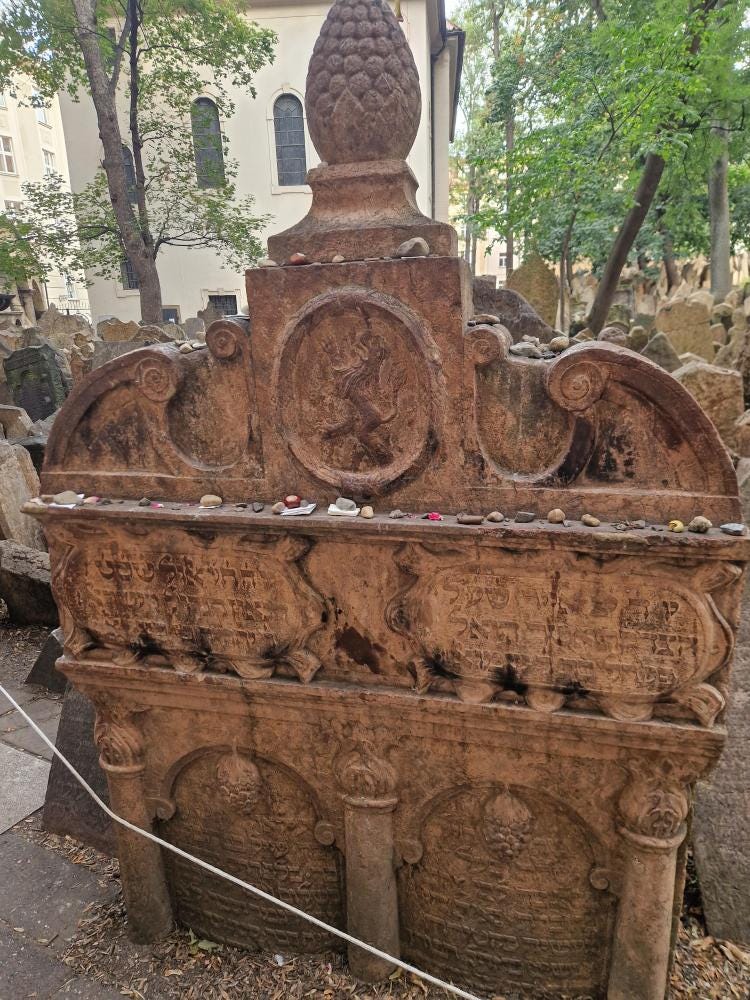 Foto 5 di 7
