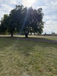 Foto 1 de 2
