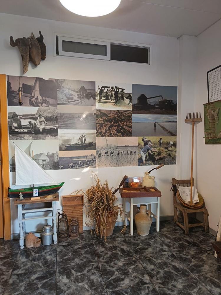 Foto 2 di 2