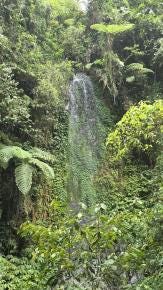 Foto 3 de 6