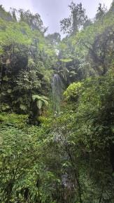 Foto 4 de 6