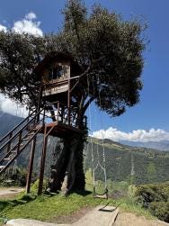 Foto 1 de 2