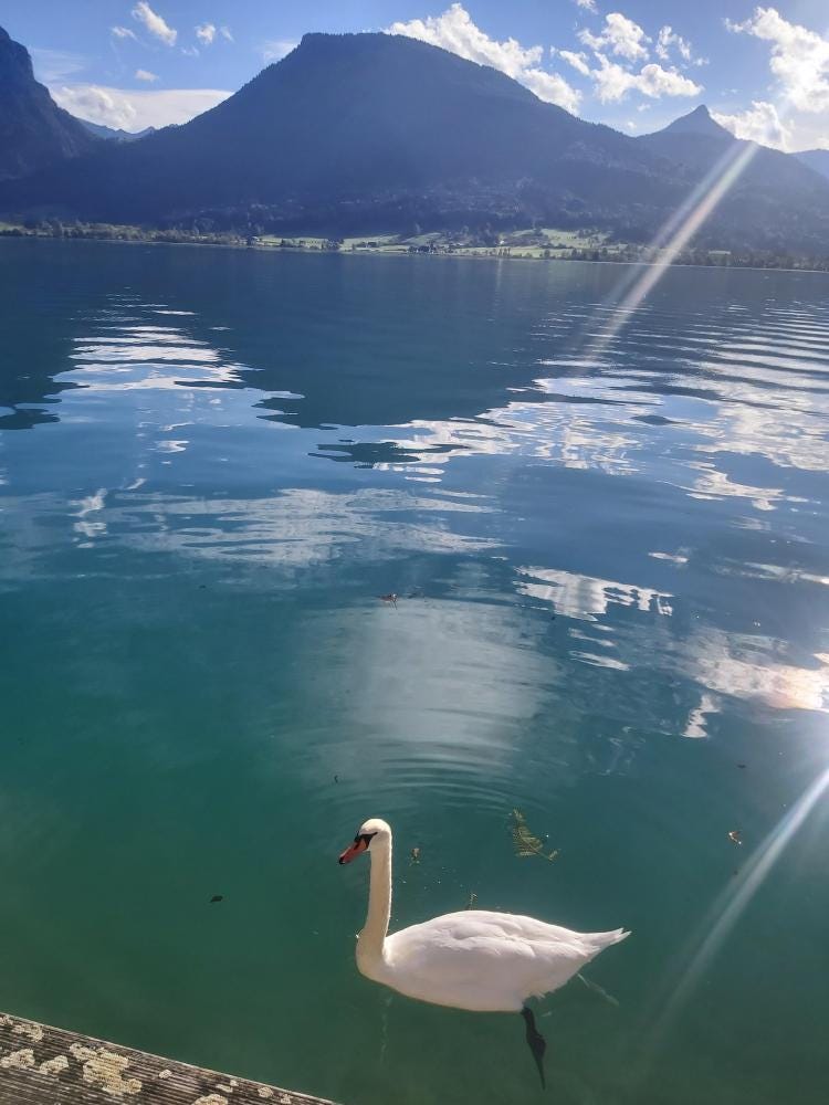 Foto 1 de 3