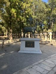 Foto 4 de 4