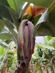 Foto 1 de 2
