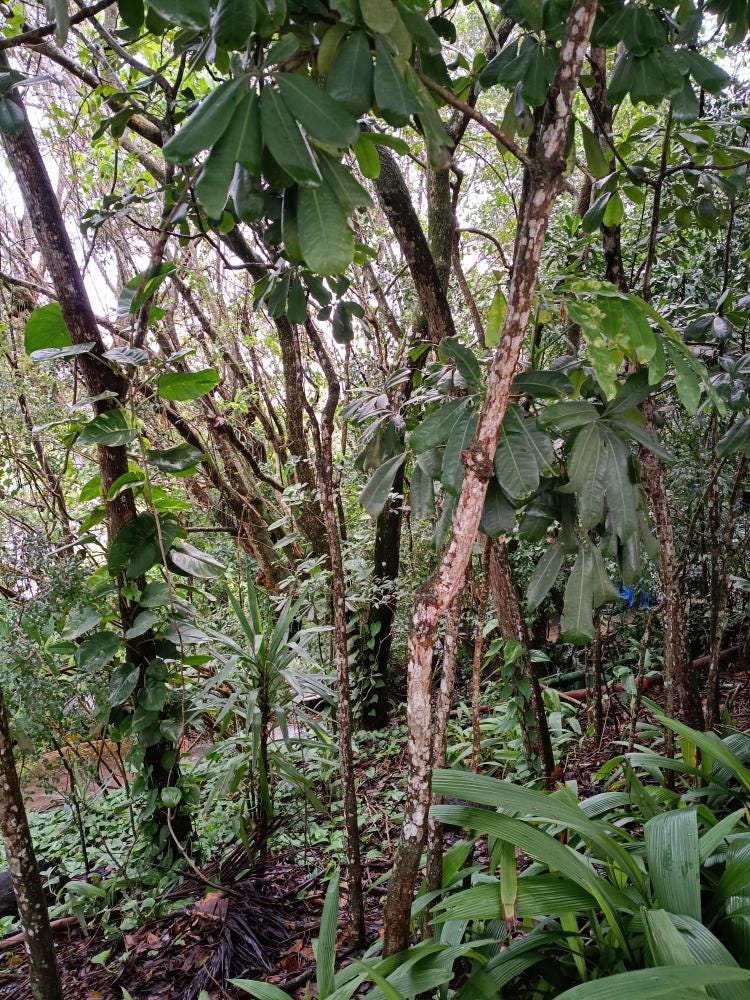 Foto 4 de 4