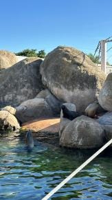 Foto 2 de 4