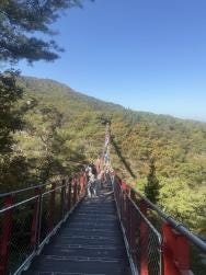 Foto 1 de 4