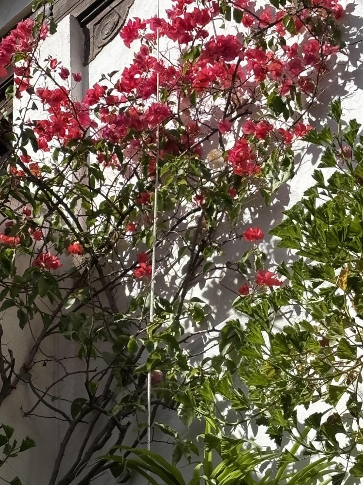 Foto 1 de 5