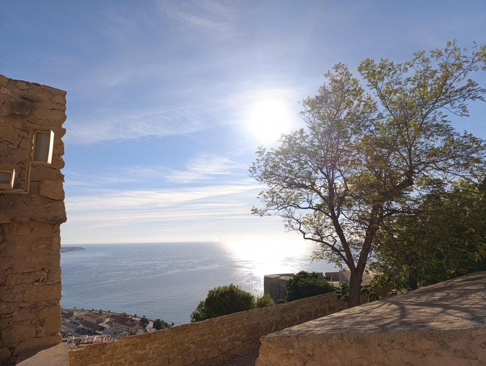 Foto 4 di 5