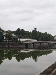 Foto 1 de 1