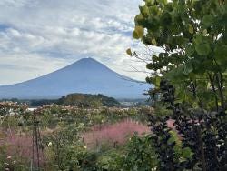 Foto {1} di {2}