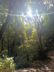 Foto {1} di {2}
