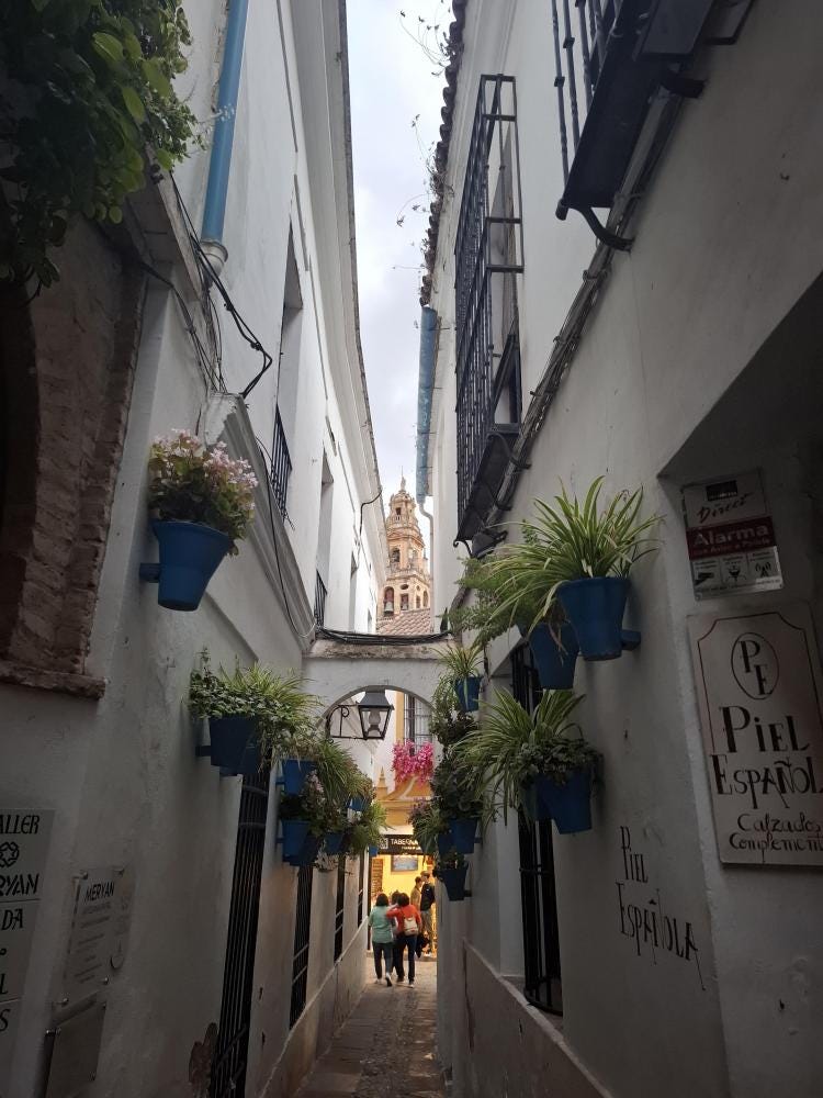 Foto 1 de 1