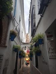 Foto 1 de 1
