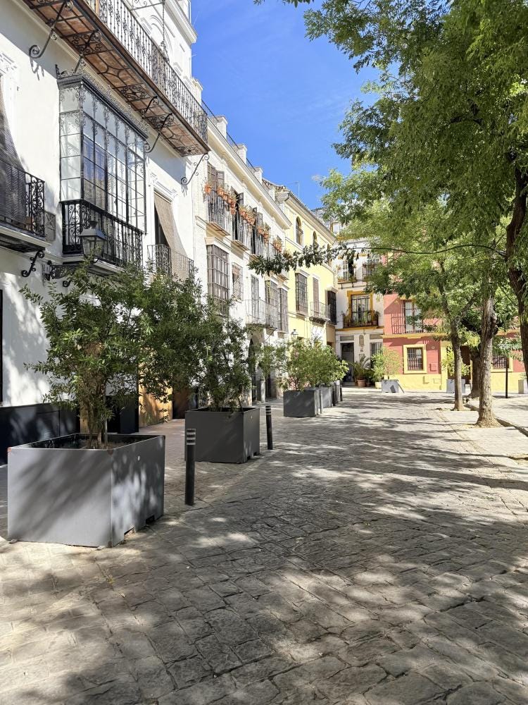 Foto 2 de 2